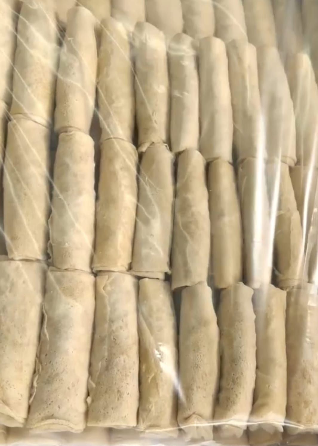 Frozen Spring Roll
