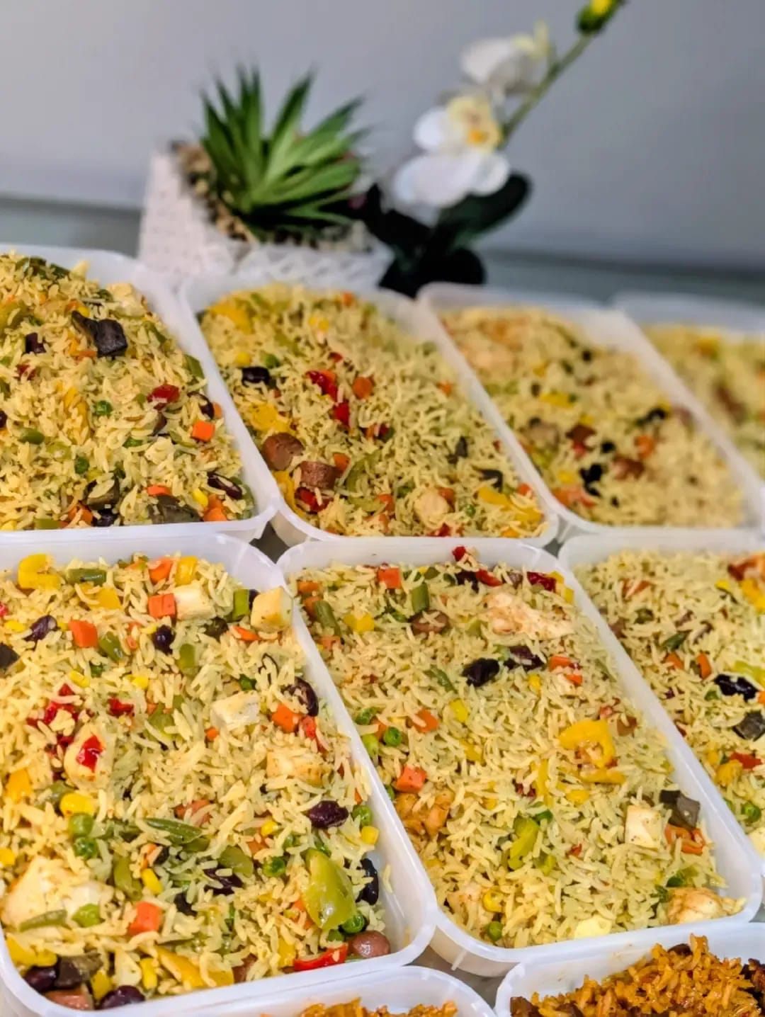 Nigerian Fried Rice (no shrimp / prawn)