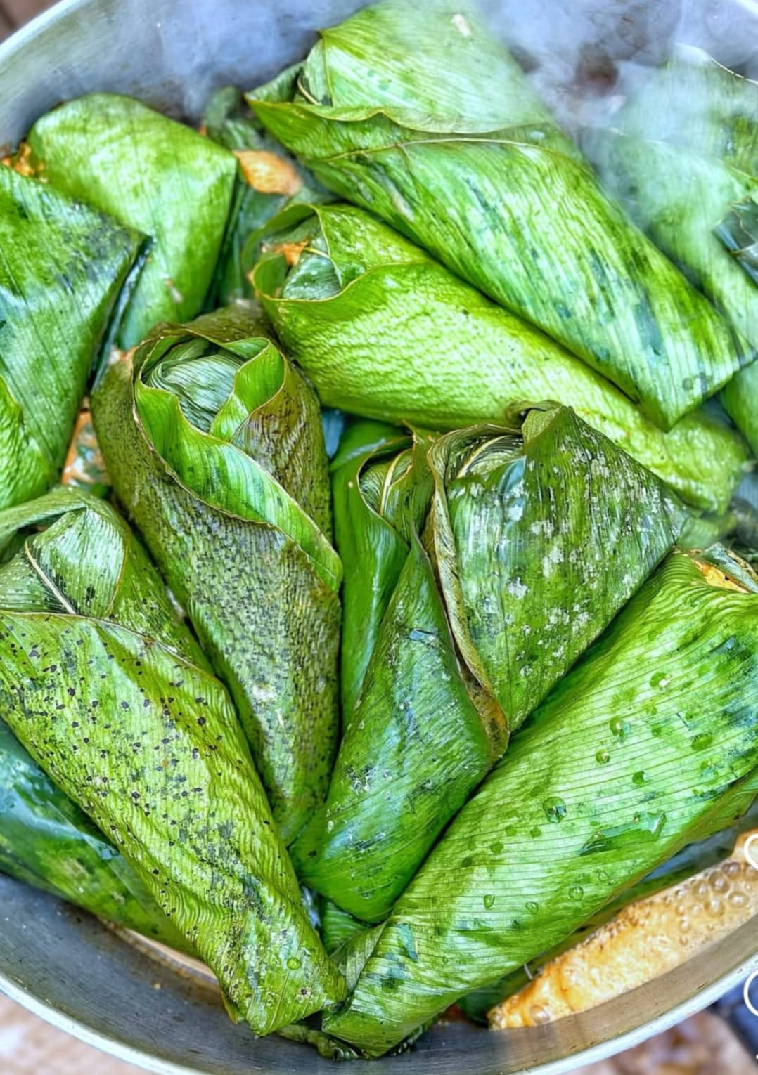 Moimoi Elewe