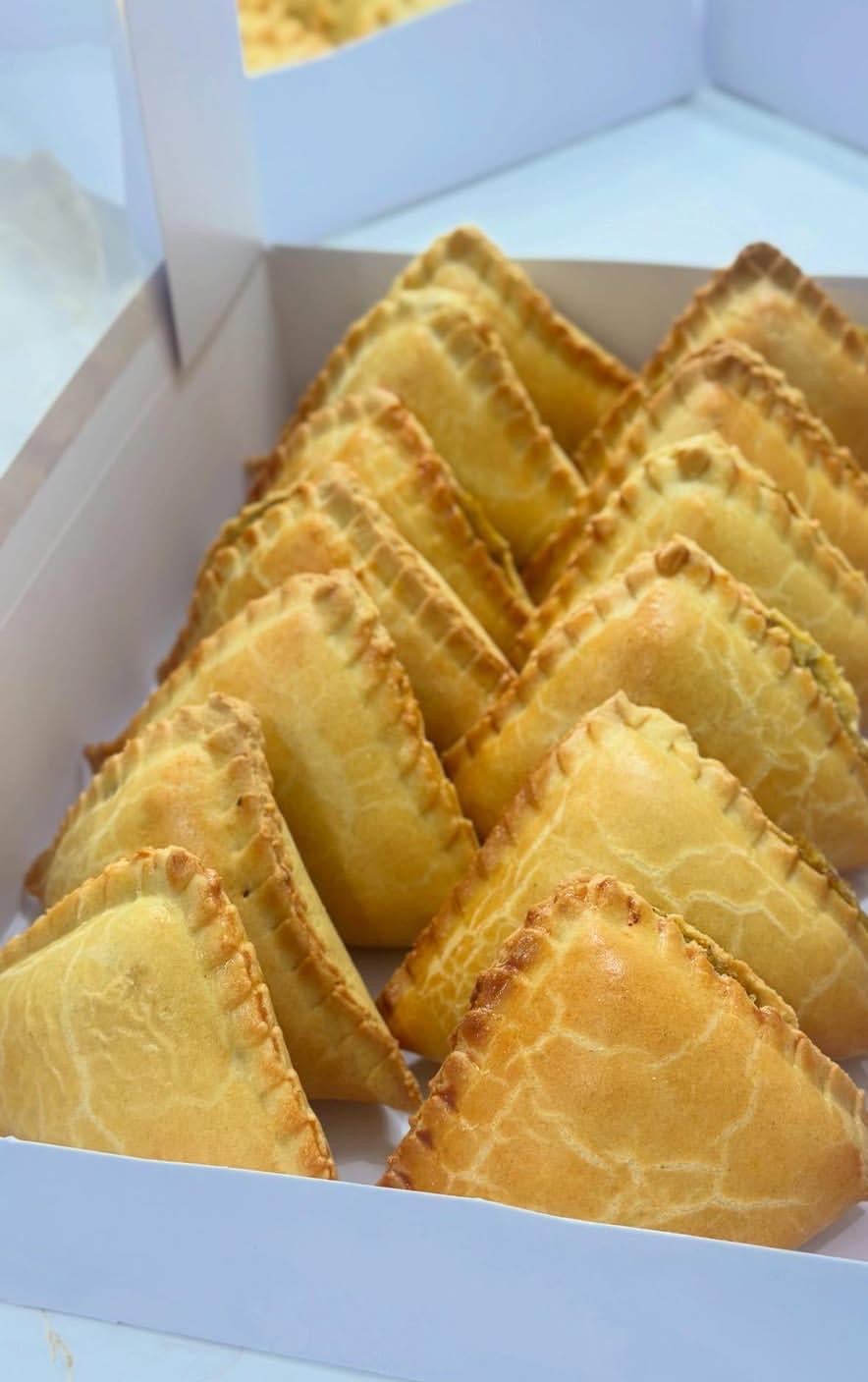 Chicken Pie